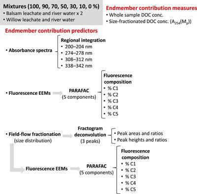 The Contribution of Endmembers to Mixtures of Leaf Leachates and Riverine DOM can be Determined by Measuring Their Size and Fluorescence Properties